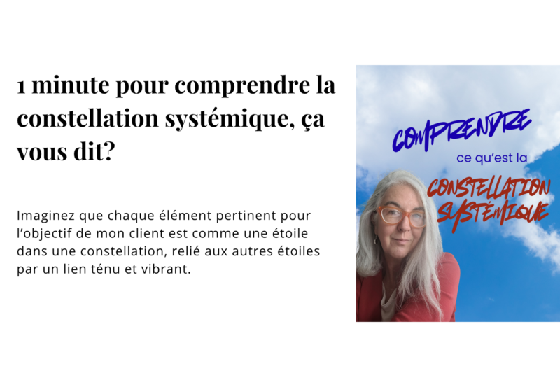 Imaginez que chaque élément pertinent pour l’objectif de mon client est comme une étoile dans une constellation, relié aux autres étoiles par un lien ténu et vibrant.