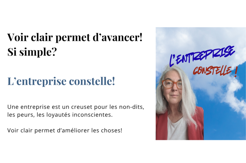 Une entreprise est un creuset pour les non-dits, les peurs, les loyautés inconscientes. Voir clair permet d’améliorer les choses!