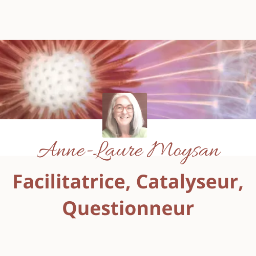 Anne-Laure Moysan, facilitatrice, catalyseur, questionneur