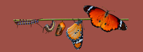 Transformation, aller au bout de ses projets